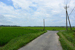 田園歩き