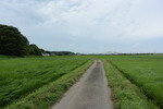 田園歩き2