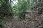 山道