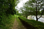 坂田ヶ池公園
