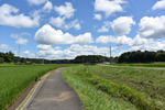 川沿い歩き