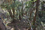 山道
