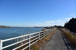 河口