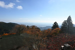 境内から