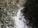 登山道