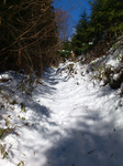 登山道