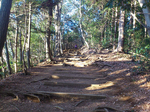 登山道