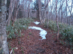 登山道