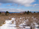 登山道