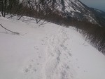 登山道