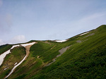 登山道４