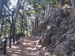 登山道