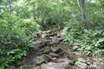 登山道