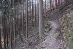 登山道