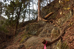 登山道３