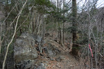 登山道４