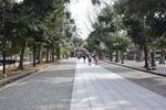 大國魂神社参道