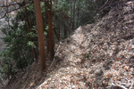 落葉の山道