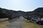 安房神社２