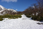 登山道