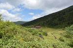 黒部五郎小屋へ