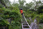 登山道