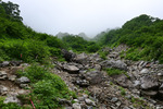 登山道