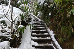 登山道