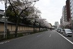 靖国神社へ