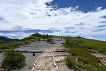 登山道