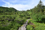 雲ノ平