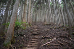 登山道