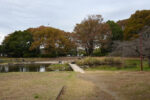 清瀬金山緑地公園