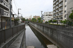 善福寺川