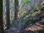 登山道