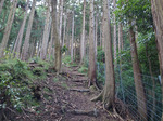 登山道