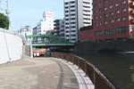 柳橋