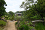 肥後細川庭園