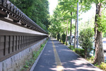 小石川後楽園