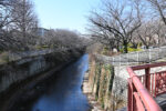 石神井公園付近