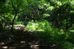 登山道