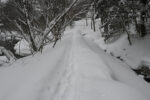 遊歩道