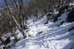 登山道
