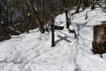 焼山山頂へ