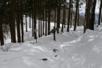 避難小屋分岐