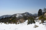 塔ノ岳へ