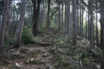 登山道２