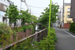 谷沢川２