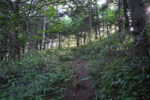 登山道