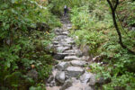 登山道